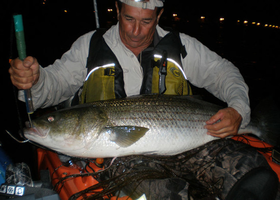 Mark Cicerano