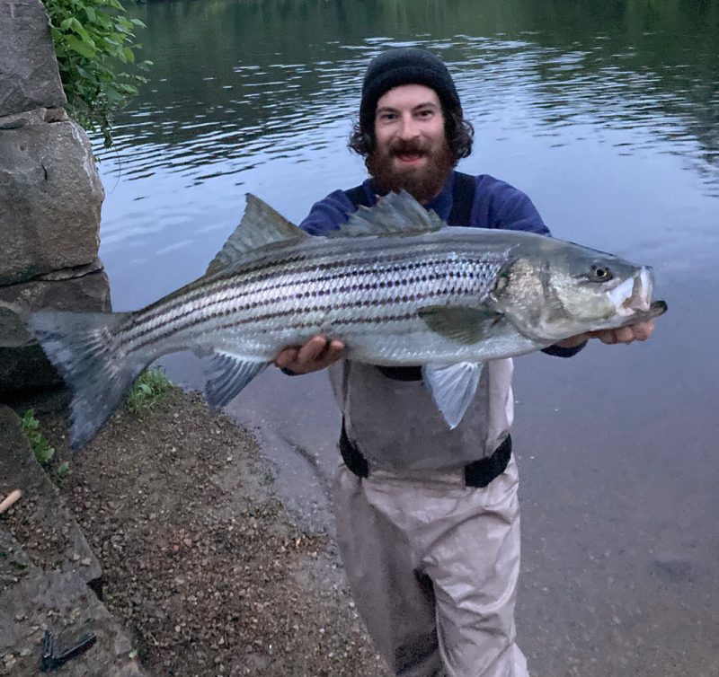 Steipper Patrick Week 7 Winners and Week 8 Prizes Announced! – The Striper Cup
