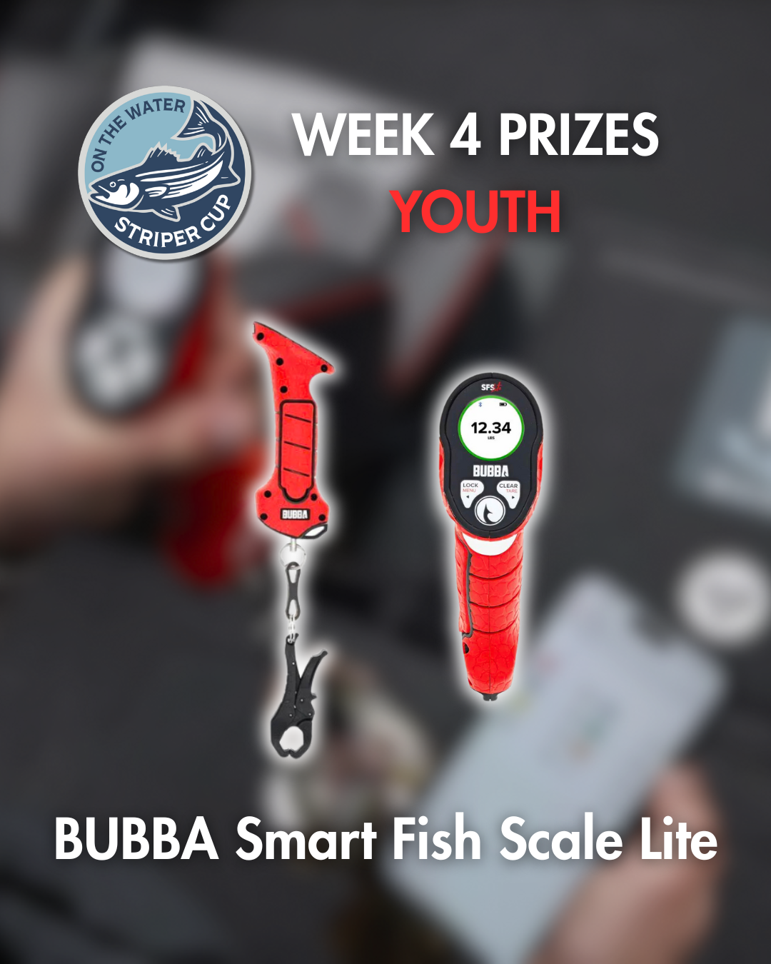 Youth Prize Week 4 - Smart Fish Scale