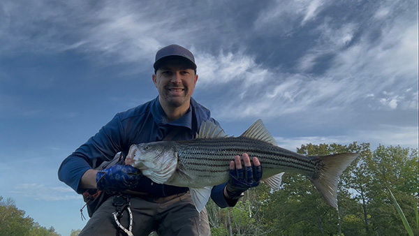 Week 4 Shore winner Kyle Banfield of South Berwick, ME with his striped bass