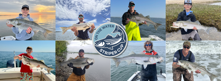 Striper Cup Submissions