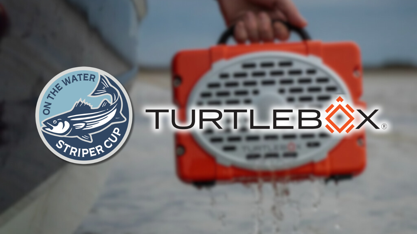 Week 11 Turtlebox Prizes