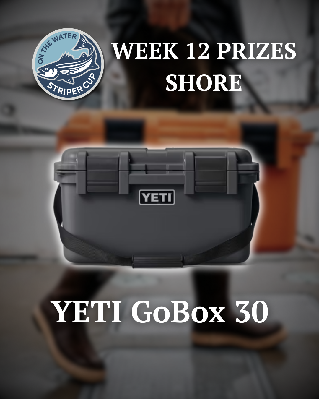 YETI LoadOut GoBox 30