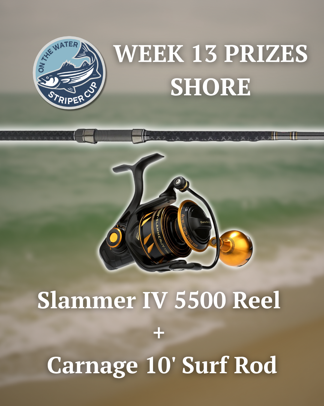 Week 13 Shore Prize