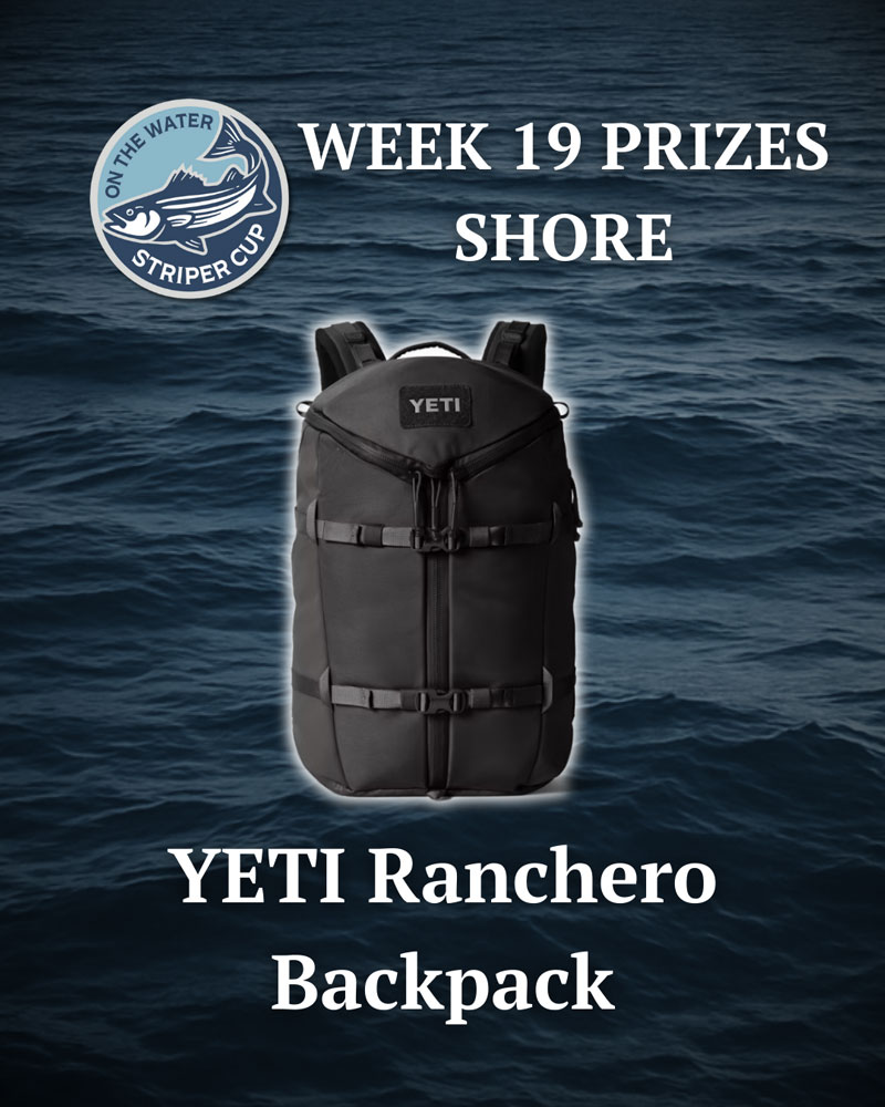 SC2025 Week 19 shore prize