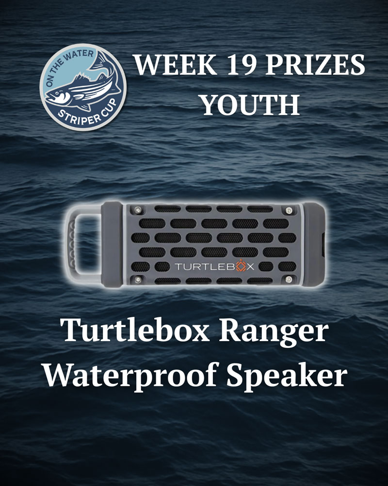 SC2025 Week 19 youth prize