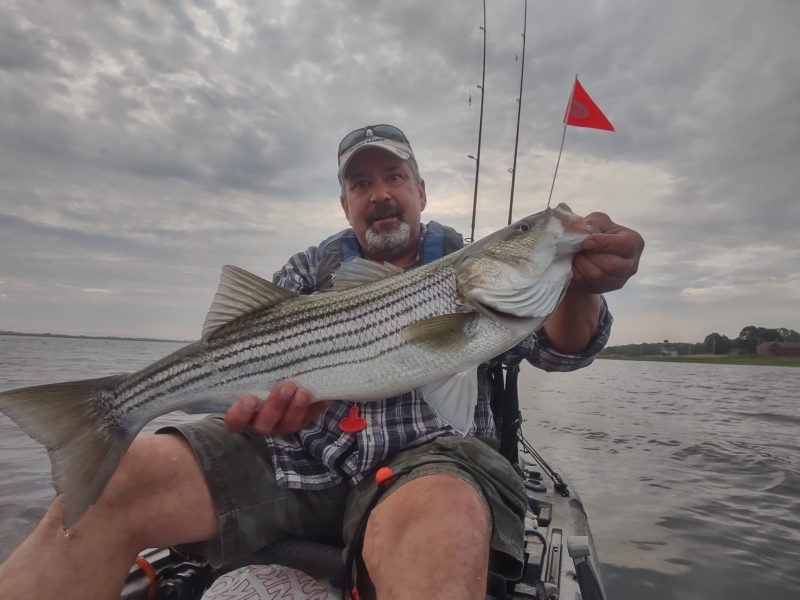 Week 6 Kayak winner Andrew Allard of Braintree, VT with his striped bass