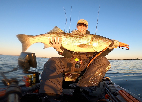 Week 7 Kayak winner Mark Darin of Killingworth, CT with his striped bass