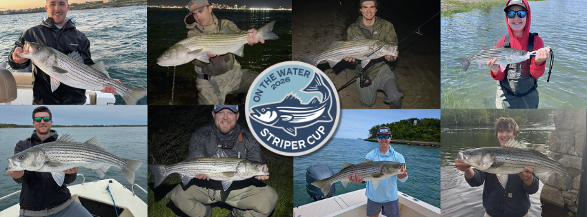 2026 Striper Cup Week 6 winners collage