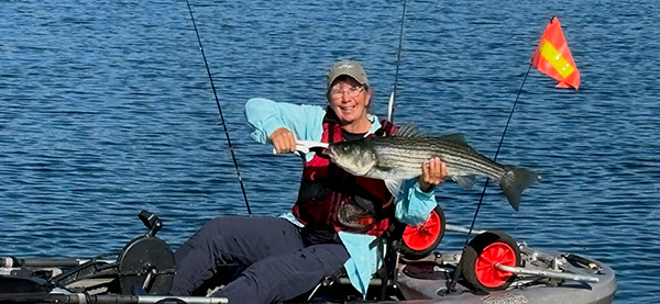 Week 13 Kayak winner Donna Piraino of Gloucester, MA with her striped bass
