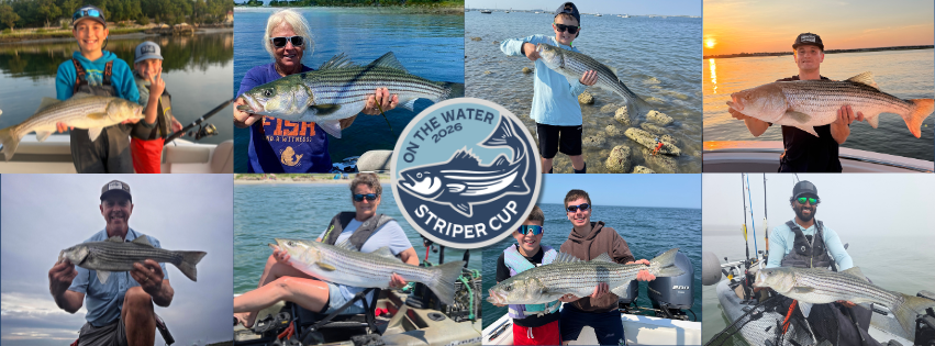 2026 Striper Cup Week 10 winners collage