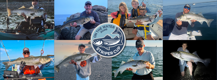 2026 Striper Cup Week 13 winners collage