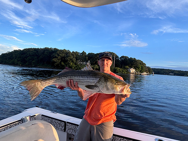 Week 15 Boat winner Austin Goad of Centerbrook, CT with his striped bass