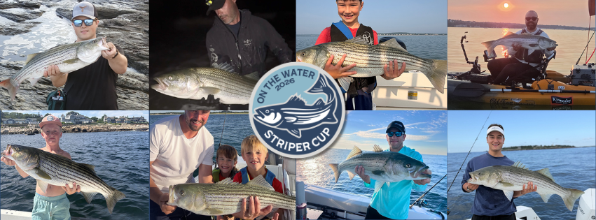 2026 Striper Cup Week 15 winners collage