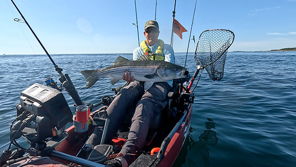 Week 18 Kayak winner Michael Wardrop of Scarborough, ME with his striped bass
