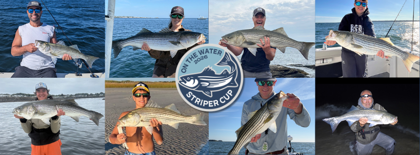 2026 Striper Cup Week 20 winners collage